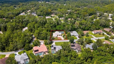 Exceptional character in Sugarmill Woods - Cypress Village - photo 58