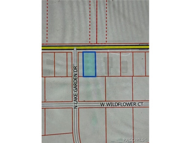 Rush Lake Lot For Sale in Dunnellon Florida