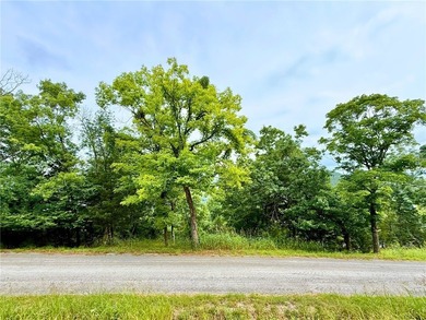 Table Rock Lake - Carroll County Lot For Sale in Holiday Island Arkansas