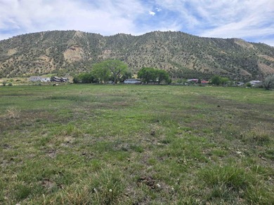 Colorado River Lot For Sale in Rifle Colorado