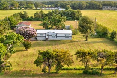 Lake Home For Sale in Pilot Point, Texas