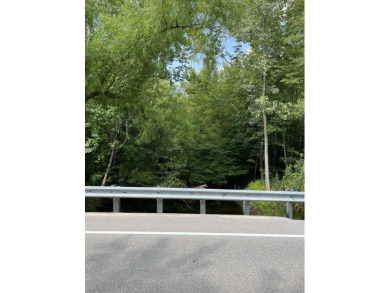 Lake Acreage For Sale in Pullman, Michigan