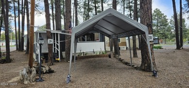 Rainbow Lake Home For Sale in Lakeside Arizona