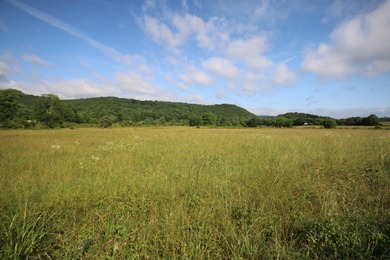 (private lake, pond, creek) Acreage For Sale in Tellico Plains Tennessee