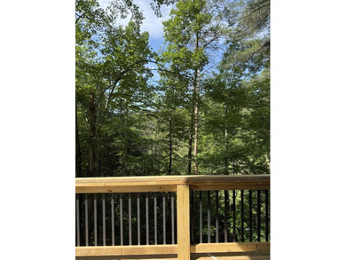 Welcome to Dryden Ridge! One of the first cabins available in - photo 21