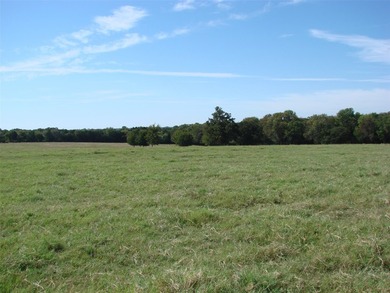 On 37 acres of pasture, with two ponds and mature trees - photo 24