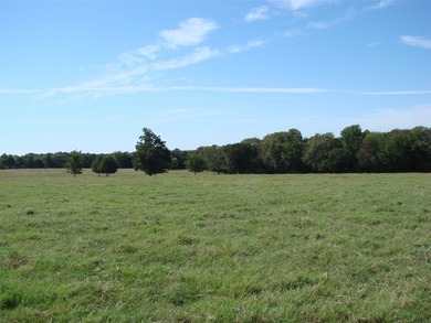 On 37 acres of pasture, with two ponds and mature trees - photo 25