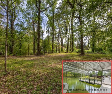 Lake Lot For Sale in Hayesville, North Carolina