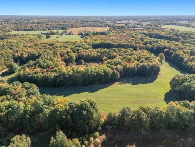 Lake Acreage For Sale in Sidney, Michigan