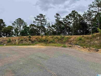 Build your dream home on Lay Lake, this property has absolutely - photo 1