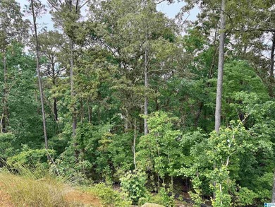 Build your dream home on Lay Lake, this property has absolutely - photo 2