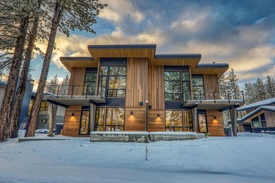 Step into the Sequoia model, a modern townhome in the heart of - photo 2