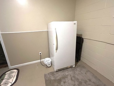 Lake Views, Room to Grow & Extensive Updates in Crown Lake Enjoy - photo 38