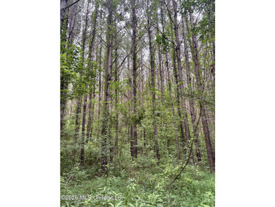 Welcome to your own private recreational retreat on this +/- 24 - photo 4