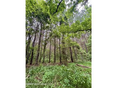 Welcome to your own private recreational retreat on this +/- 24 - photo 6