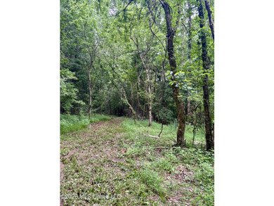 Welcome to your own private recreational retreat on this +/- 24 - photo 7