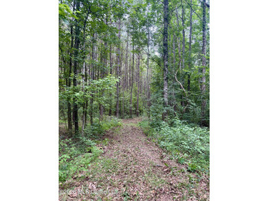 Welcome to your own private recreational retreat on this +/- 24 - photo 8