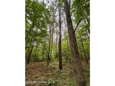Welcome to your own private recreational retreat on this +/- 24 - photo 10