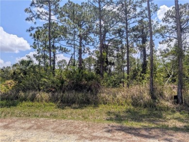 Lehigh Acres Area Lot For Sale in Lehigh Acres Florida