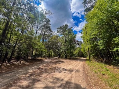 This unique corner lot situated on the desirable north end and - photo 2