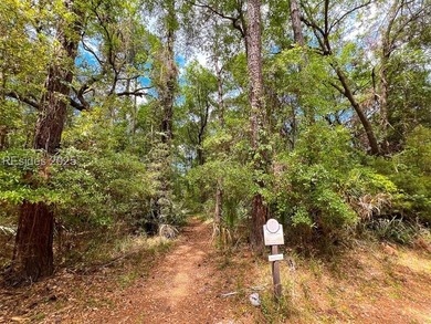 This unique corner lot situated on the desirable north end and - photo 4
