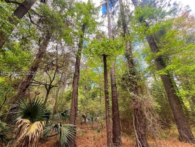 This unique corner lot situated on the desirable north end and - photo 7