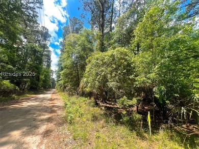 This unique corner lot situated on the desirable north end and - photo 9