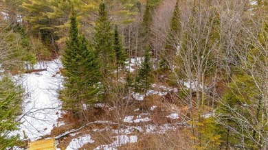 Tucked away in the heart of Maine's lake country, this raw - photo 11