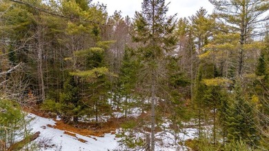 Tucked away in the heart of Maine's lake country, this raw - photo 12