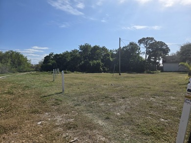 Owner Financing Available!! 3 lot package deal lots 9 thru 11 - photo 2