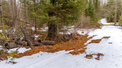 Tucked away in the heart of Maine's lake country, this raw - photo 14