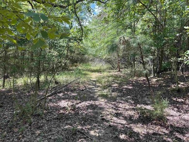 ATTENTION DEVELOPERS! Over 10 wooded acres with 400+ feet of - photo 3