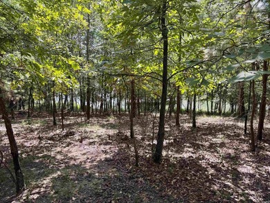 ATTENTION DEVELOPERS! Over 10 wooded acres with 400+ feet of - photo 4