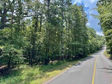 ATTENTION DEVELOPERS! Over 10 wooded acres with 400+ feet of - photo 5