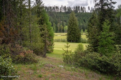 Priest Lake Lot For Sale in Priest Lake Idaho
