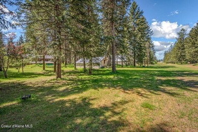 Your North Idaho dream! Renovated 5 bed, 3 bath home on 2+ - photo 44