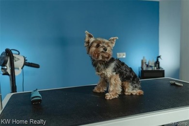 Walled Lake Commercial For Sale in Novi Michigan