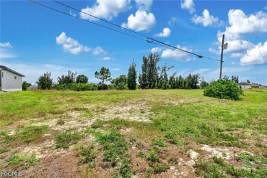 Prime freshwater canal homesite located in the growing NW Cape - photo 11