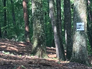 Lake Lot For Sale in Spring City, Tennessee