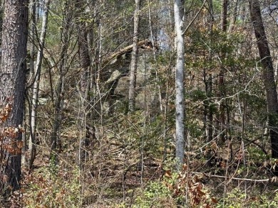 Lake Acreage For Sale in Murphy, North Carolina