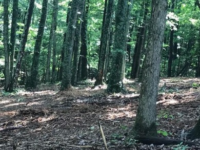 Lake Lot For Sale in Spring City, Tennessee
