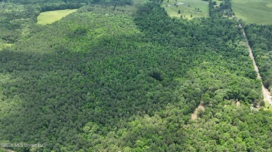 This 164.19 surveyed-acre property on Potluck Road in Canton - photo 1