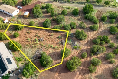 Lake Lot For Sale in Show Low, Arizona