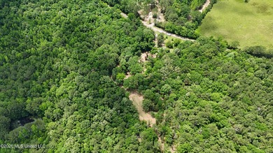 This 164.19 surveyed-acre property on Potluck Road in Canton - photo 3
