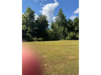 If you're looking for the perfect small recreational property - photo 3