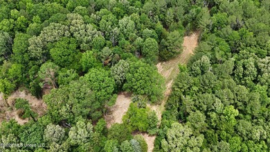 This 164.19 surveyed-acre property on Potluck Road in Canton - photo 5