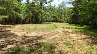 This 164.19 surveyed-acre property on Potluck Road in Canton - photo 6