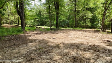 This 164.19 surveyed-acre property on Potluck Road in Canton - photo 7