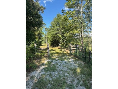 If you're looking for the perfect small recreational property - photo 7