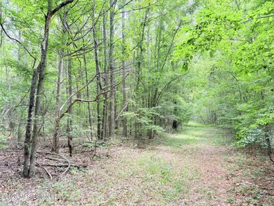 This 164.19 surveyed-acre property on Potluck Road in Canton - photo 8